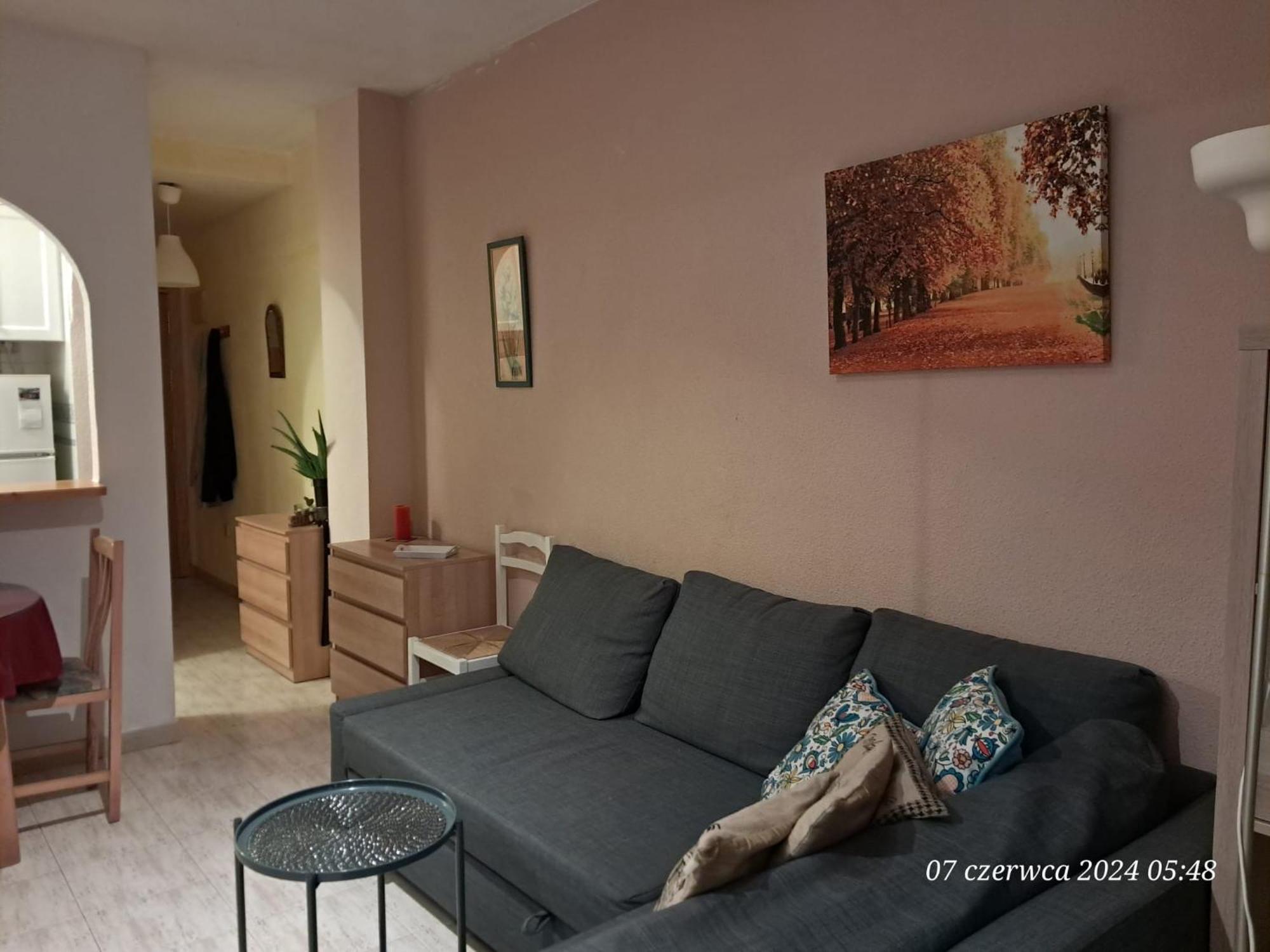 Tango Mango Apartment! Plaza 5 Min, Basen! トレビエハ エクステリア 写真